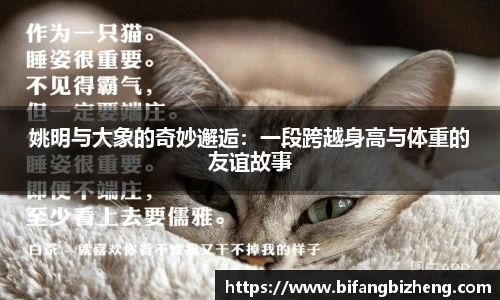 易游