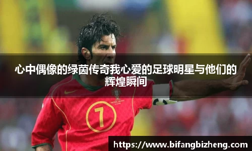 心中偶像的绿茵传奇我心爱的足球明星与他们的辉煌瞬间